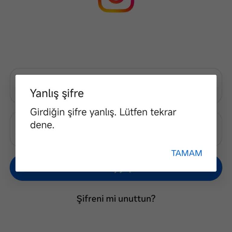 Instagram Hesabına Erişim Sorunu: Şifre Doğru Olduğu Halde Hatalı Şifre Olarak Görünüyor
