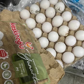 A101 Pendik Şubesinde Kırık Yumurta Değişimi Reddedildi Ve Saygısız Tavırla Karşılaşıldı