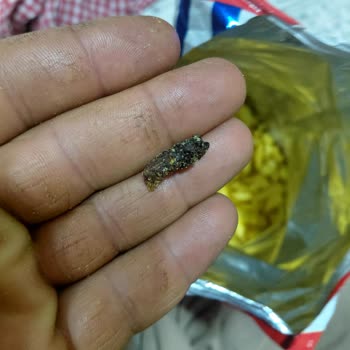 Çerezos Corn Stix Paketi İçinde Fare Dışkısı