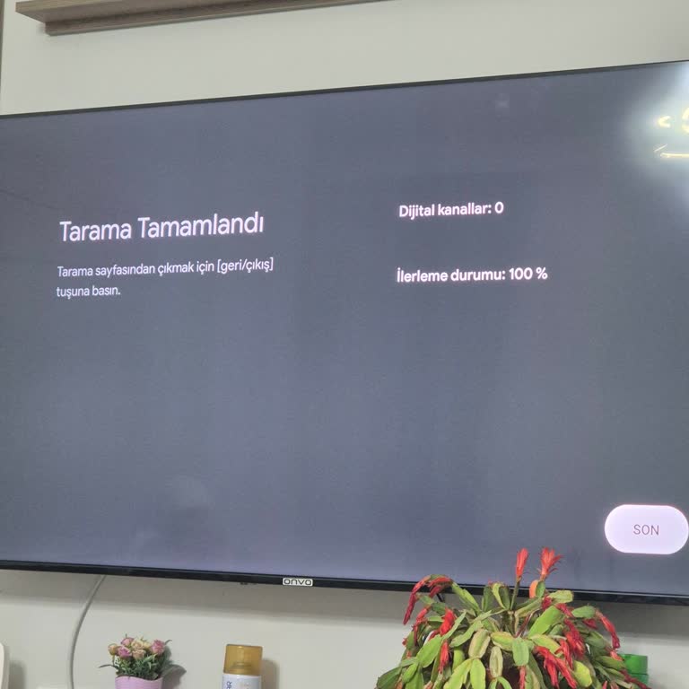 Tüm Kanallar Aniden Kayboldu, 8 Aylık Televizyonumda Servis Talebi