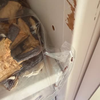 Kuru Patlıcanda Erzak Böceği Bulunması, Evde Yayılma Ve İade Talebi