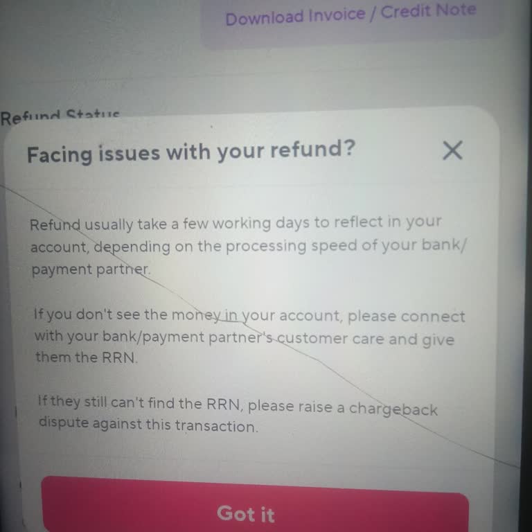 ZEPETO Cash Refund Delayed for Paradyes Hair Tint Order