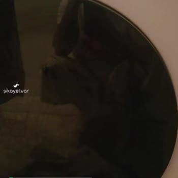 Samsung Çamaşır Makinesi Kapak Sesi