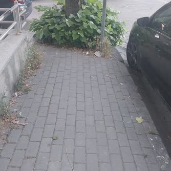 Mimarsinan Caddesi Kaldırımlarındaki Otlar Yaya Güvenliğini Tehlikeye Atıyor