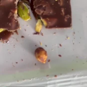 Antep Fıstıklı Tambol Çikolatadan Kabuklu Bir Çekirdek Çıkması!