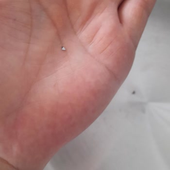 Karaca Züccaciye Kusurlu Gelen Düdüklü Tencere