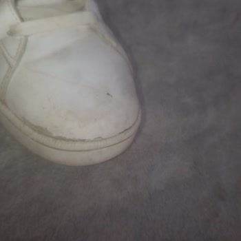 FLO Ayakkabı Puma Ayakkabısında Açılma Ve Yırtılma, Mağaza Şikayetinin Reddi