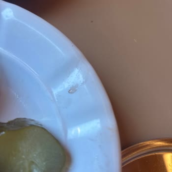 Mevlana Köfteci Yusuf Şubesinde Hijyen Sorunları