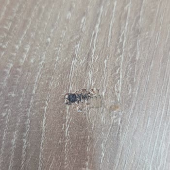 Kelebek Mobilya’dan Ayıplı Salon Takımı Ve İptal Edilen Parçanın 31.000 TL İadesi Sorunu