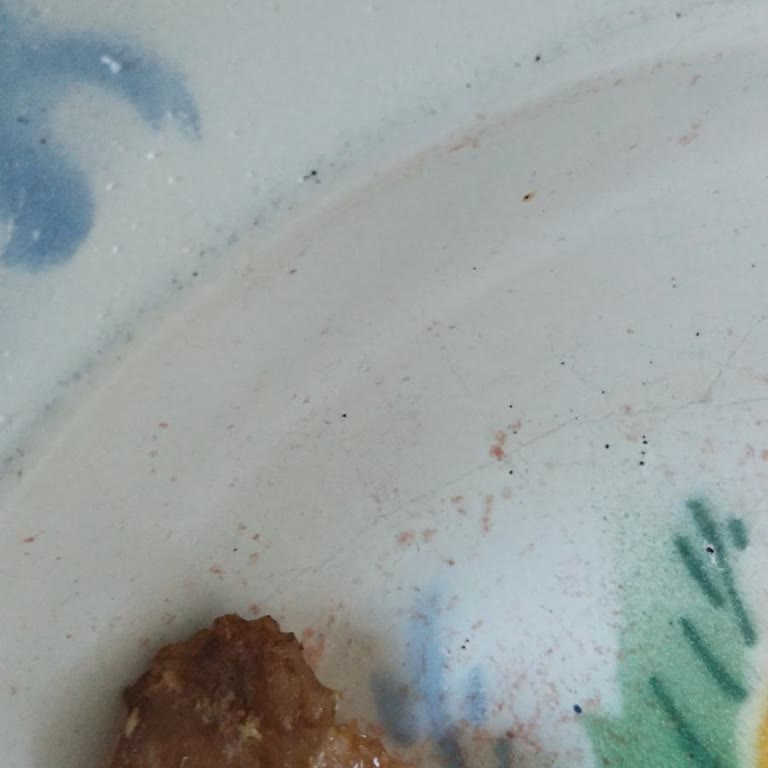 BİM'de Lahmacun İçinde Yabancı Cisim, Cevapsız Yanıt