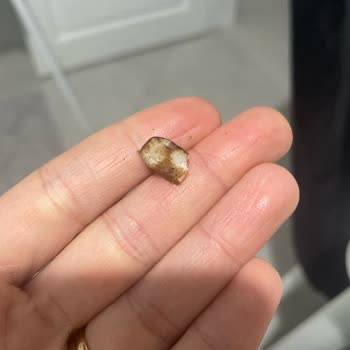 Paketten Çıkan Taş Makine Öğütücüsünü Kırdı Ve Garanti Kapsamı Dışında Ücretli Tamir İstiyorum