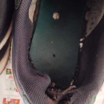 Puma Ayakkabısının İç Astarı Kısa Sürede Yırtıldı, Mağaza Kullanıcı Hatası Diyor
