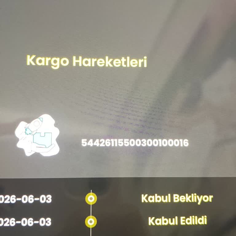 Cargo X Buca Şubesi Teslim Edilmeyen ve Hasarlı Kargo Sorunu