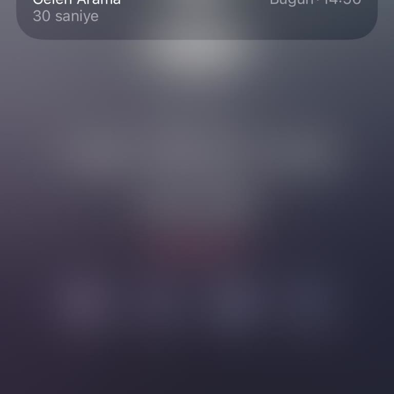 Yasadışı Arama Ve Hattın Güvenliğinin Sağlanması Talebi