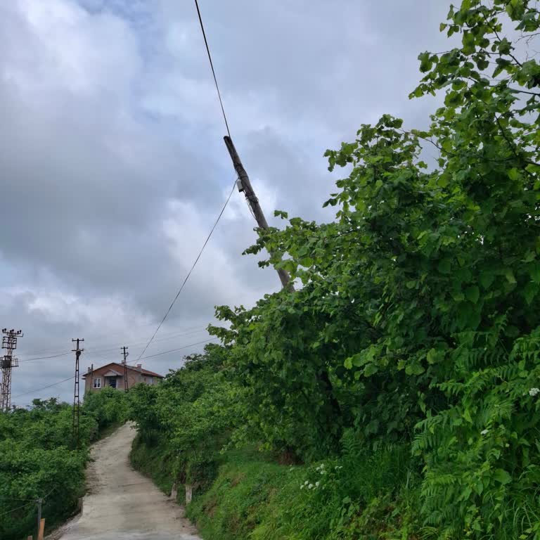 Türk Telekom'dan Acil Altyapı Ve Güvenlik Müdahalesi Talebi