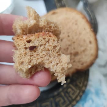 Tam Buğday Ekmeğinde Kahverengi Yabancı Madde Görüldü
