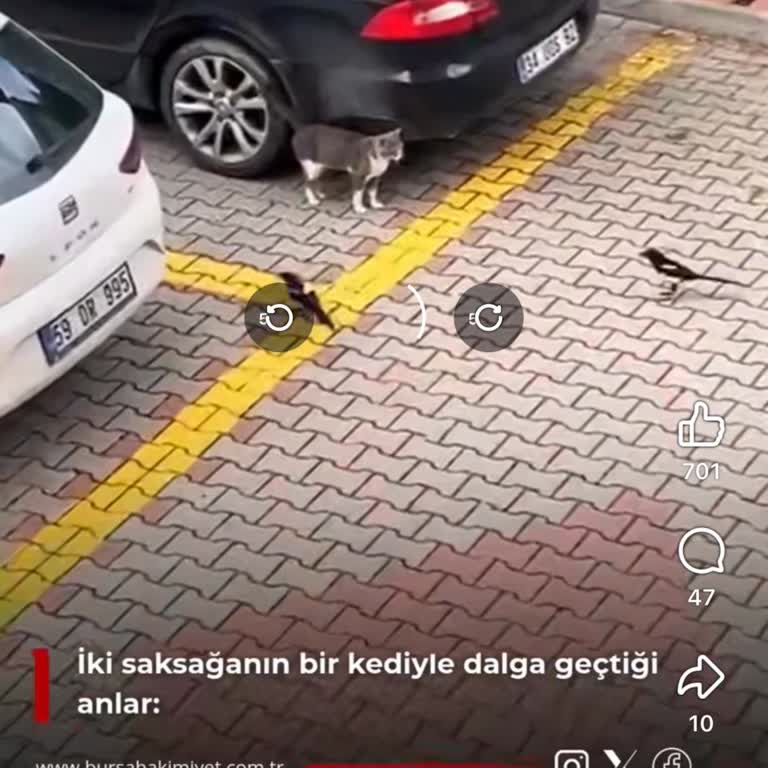 Bolu’da Vodafone Çekim Ve İnternet Sorunu Çözülmedi