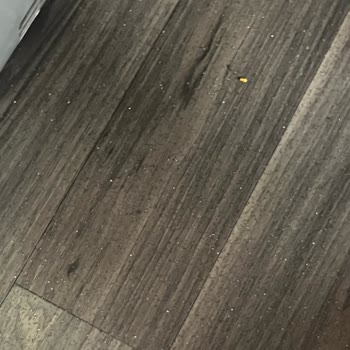 Erken Sefer İçin Fazla Ücret Ve Araç Temizliği Sorunu