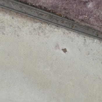 Arçelik Isı Pompalı Kurutma Makinem Kurutma Sorunu Yaşıyor Ve Servis Çözüm Getiremiyor