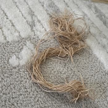 Kedi Oyuncağı Bir Günde Parçalandı, 150 TL Kupon Teklifi Yetersiz