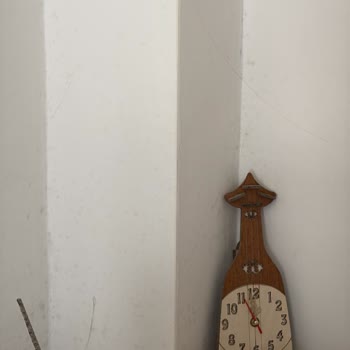 Detaylı Temizlikte Örümcek Ağları Bırakıldı, İade Talebi