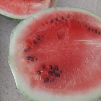 Karpuz Çürük Geldi, Müşteri Hizmetlerinden Yanıt Alınamadı