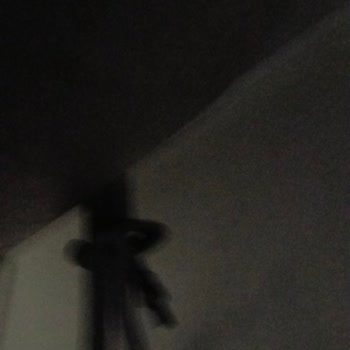 Doğa Sigorta Konut Hasar Dosyamda Cevap Yok, Acil Onarım Bekliyorum