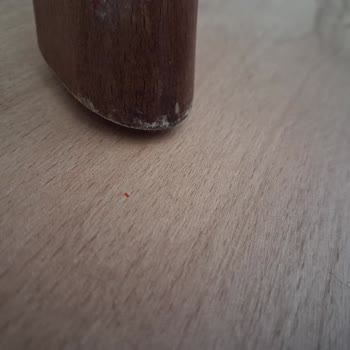 Boyası Kısa Sürede Döken Sandalyeler İçin Garantili Değişim Talebi