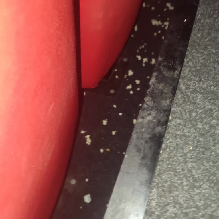 Cinefora’da Temiz Olmayan Salon Ve Güvensiz Çanta Araması