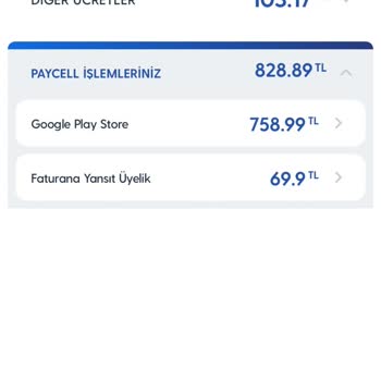 İzinsiz Üyelik Yenilemesi Ve 758 TL Ücret İadesi Talebi