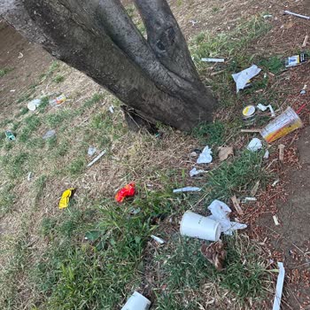 Küçükyalı Beltur’da Personel Yetersizliği Çevre Kirliliğine Yol Açıyor