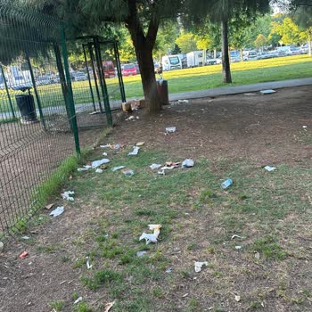 Küçükyalı Beltur’da Personel Yetersizliği Çevre Kirliliğine Yol Açıyor