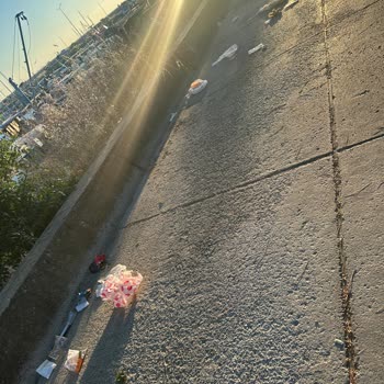 Küçükyalı Beltur’da Personel Yetersizliği Çevre Kirliliğine Yol Açıyor