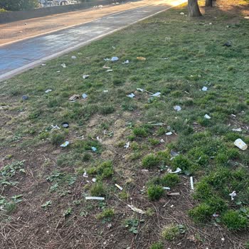 Küçükyalı Beltur’da Personel Yetersizliği Çevre Kirliliğine Yol Açıyor