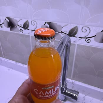 Kızılcahamam Çamlık Maden Suyunda Kapalı Şişede Böcek Bulunması