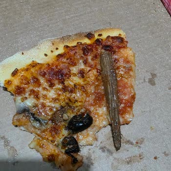 Pizza İçinde Tahta Parçası Bulunması Hijyen Ve Güven Sorunu Olarak Değerlendirilmeli