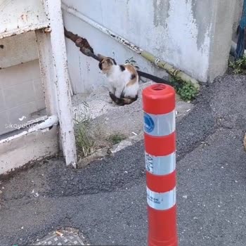 Üsküdar Belediyesi'nin İşi Başından Aşkın!