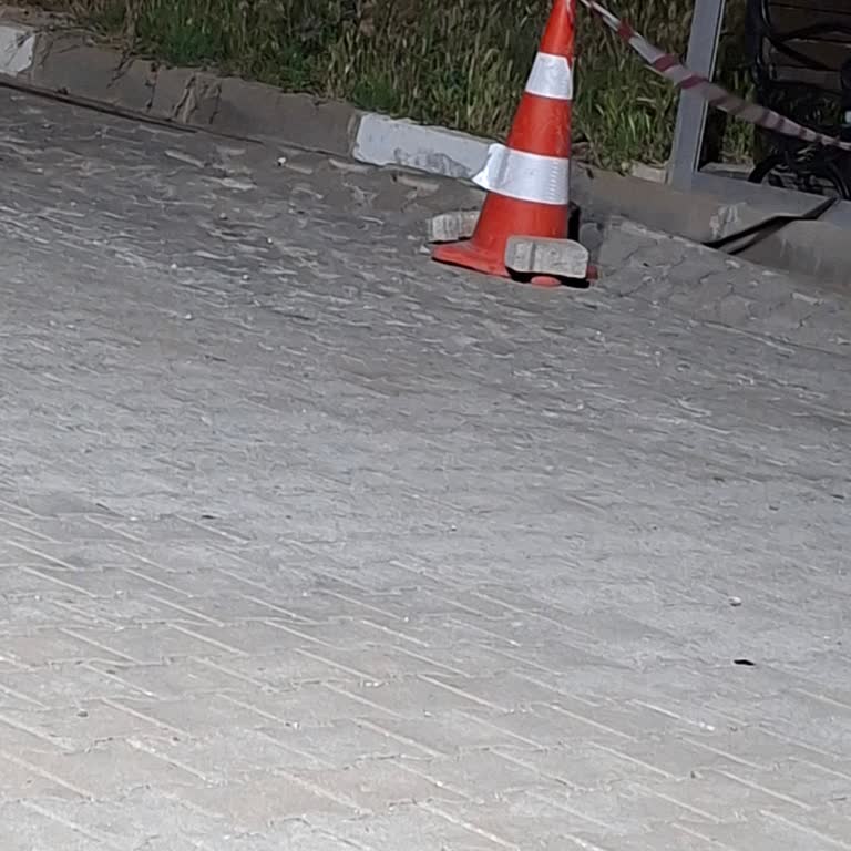 Tamamlanmamış Kilit Taşları Ve Uzun Otlar Yılan Ve Böcek Tehdidine Neden Oluyor
