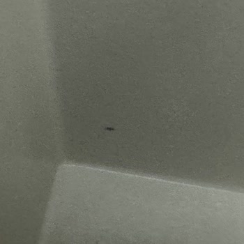 Realstone Patara Granit Evye Kalitesiz Ve Çizili: Tam Değişim Talebi
