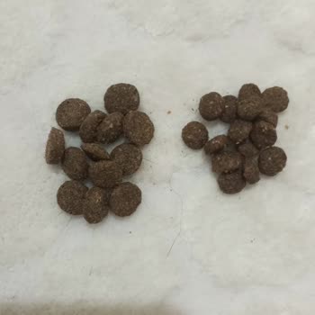 Petlebi'den Gelen Kedi Maması Orijinal Olmadığı İçin Şikayet