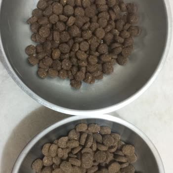 Petlebi'den Gelen Kedi Maması Orijinal Olmadığı İçin Şikayet