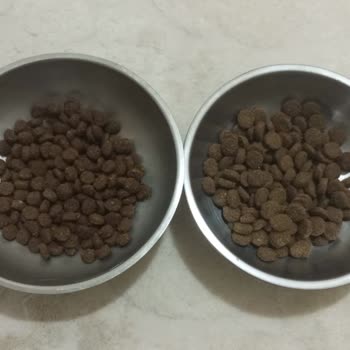 Petlebi'den Gelen Kedi Maması Orijinal Olmadığı İçin Şikayet