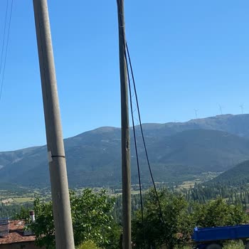 Dört Ay Süren İnternet Kesintisi Hayvan Kaybı Ve Büyük Mağduriyet Yarattı