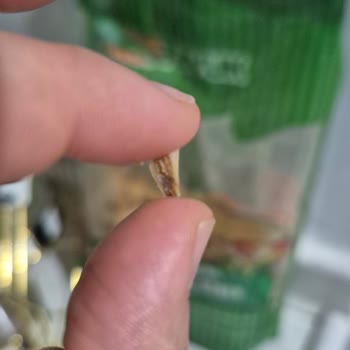 Has Tavuk Dondurulmuş Dönerinde Çocuğa Tehlikeli Kemiğin Çıkması