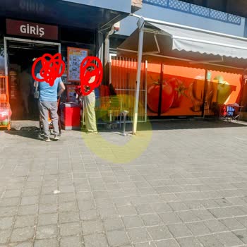 Migros Mağaza Girişinde Kedi Beslenmesi Hijyen Ve Sağlık Riskine Neden Oluyor