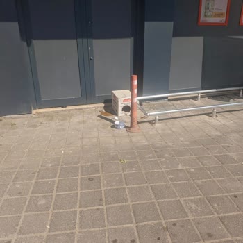 Migros Mağaza Girişinde Kedi Beslenmesi Hijyen Ve Sağlık Riskine Neden Oluyor