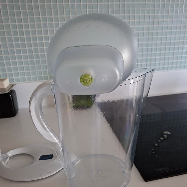 Brita Sürahide Yosunlanma Ve Tekrarlayan Değişim Zorluğu