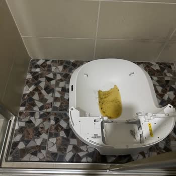 Evofone Petkit Pura Max 2 Otomatik Kedi Tuvaletinde Sürekli İdrar Sızdırma Ve Destek Eksikliği
