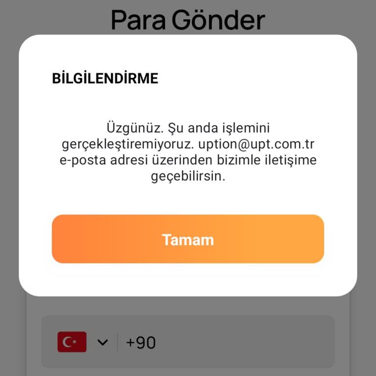 Telefon Değişikliği Sonrası Hesaba Giriş Engeli Ve Destek Yetersizliği