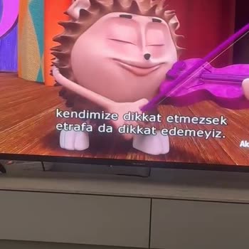 Skytech 55ST4105 Televizyonda Sürekli Açılma Ve Görüntü Sorunları İçin Ücret İadesi Talebi